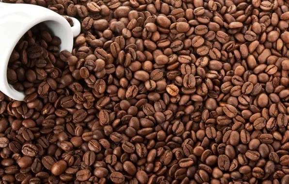 Picture coffee, grain, Cup, white, coffee