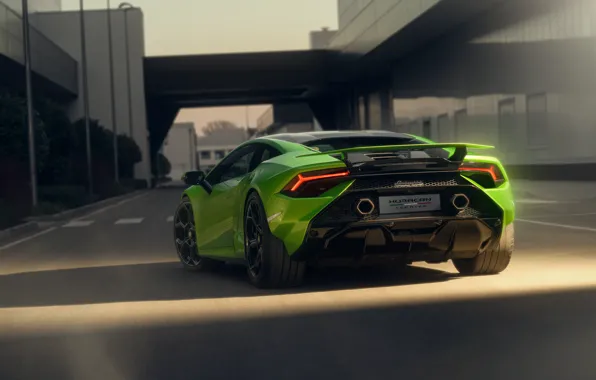 Picture Lamborghini, lambo, perfect, Huracan, rear view, Lamborghini Huracan Tecnica