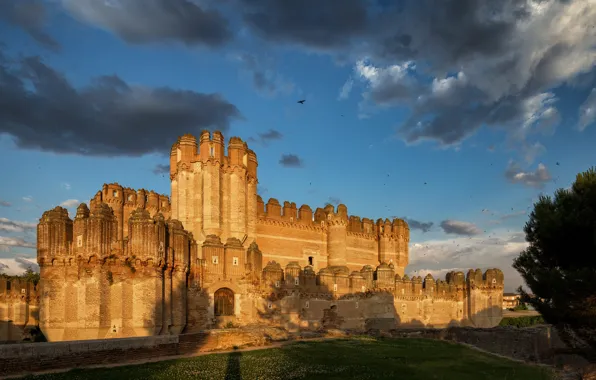 Castle, Spain, Castle of Coca