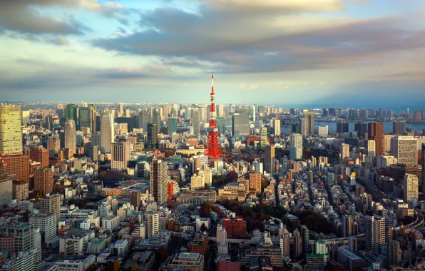 City, the city, building, tower, home, skyscrapers, Japan, Tokyo