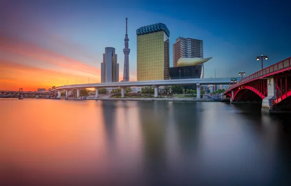 Bridge, tower, home, Japan, Tokyo, glow