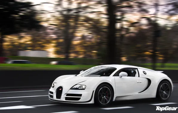White, Bugatti Veyron, top gear, Super Sport, telecast, top gear, 16.4
