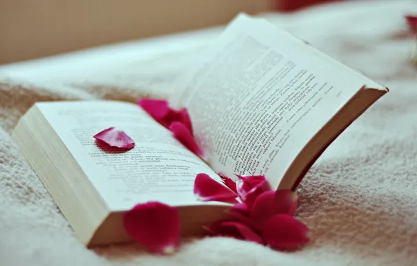 Text, petals, book
