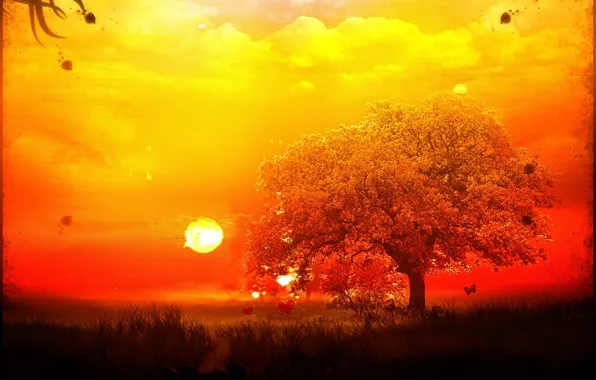 The sun, treatment, Tree