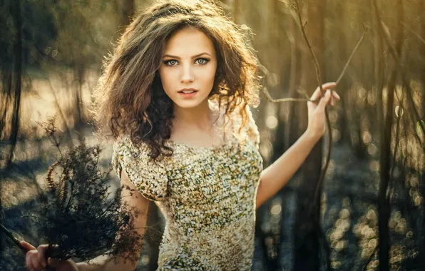 Picture forest, grass, look, flowers, nature, pose, sweetheart, hair