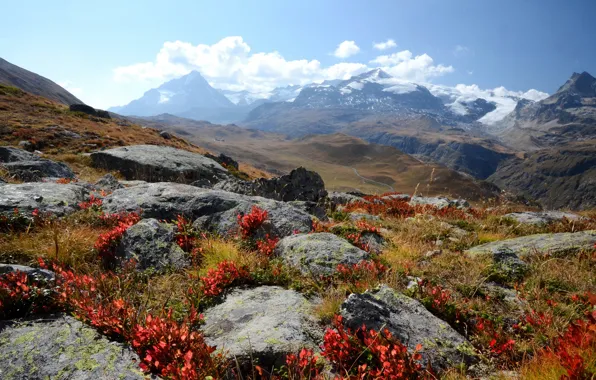 Grass, mountains, stones, France, slope, Alps, gorge, Saint-Pierre