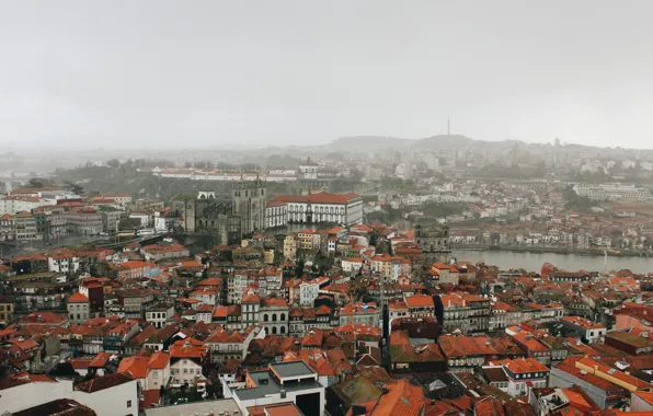 Fog, Portugal, Porto, rainy