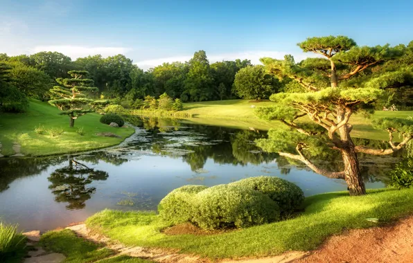 Trees, landscape, nature, the city, pond, Park, Chicago, USA