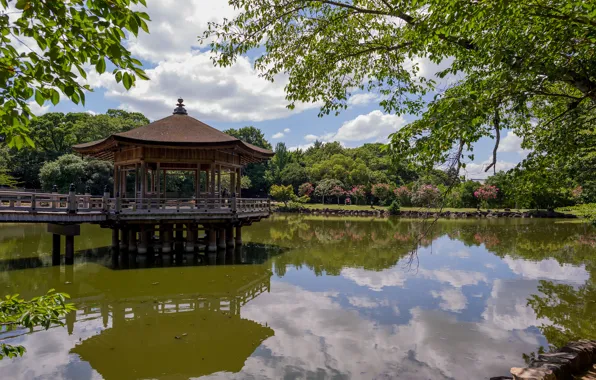Picture trees, pond, reflection, Japan, gazebo, pavilion, Ukimido Pavilion, Nara Park