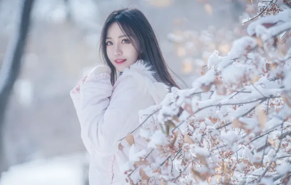Picture snow, branches, Asian, Jacket