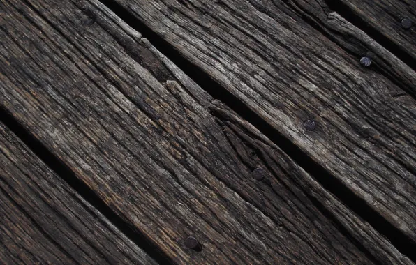 Tree, Board, nails, texture, aging