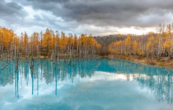 Picture Clouds, Trees, Japan, Hokkaido, Pond, Japan, Hokkaido, Blue Pond