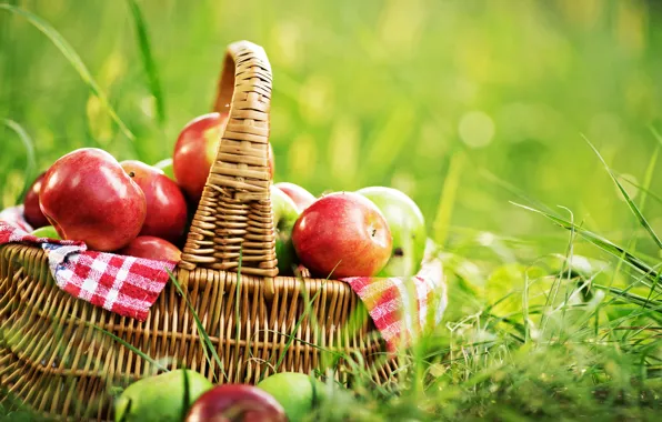 Greens, summer, grass, basket, glade, apples, fruit, bokeh