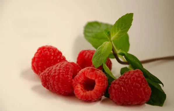 Leaves, berries, raspberry