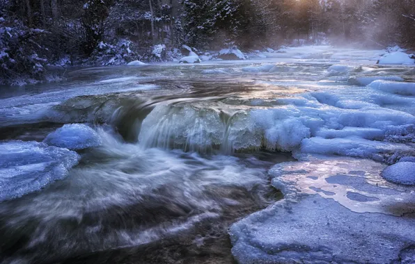 Cold, ice, winter, forest, water, snow, river, stream