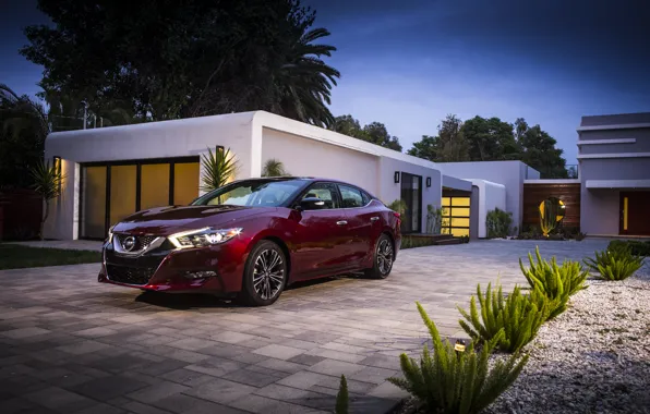 Picture Nissan, Nissan, Maxim, 2015, Maxima