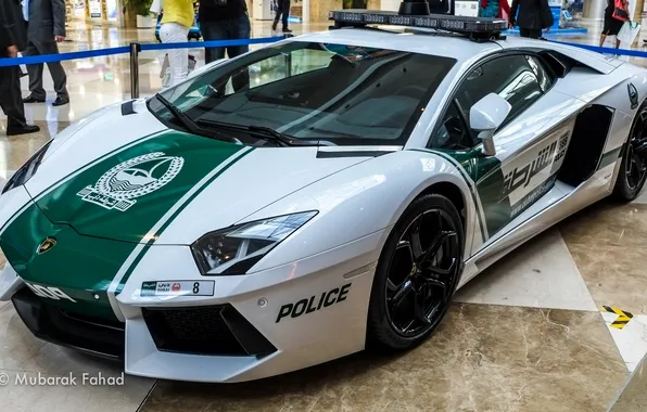 Picture police, exhibition, Dubai Police Car