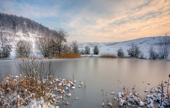 Winter, snow, trees, landscape, lake, hills, the bushes