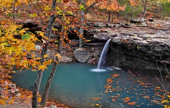 Autumn, nature, waterfall
