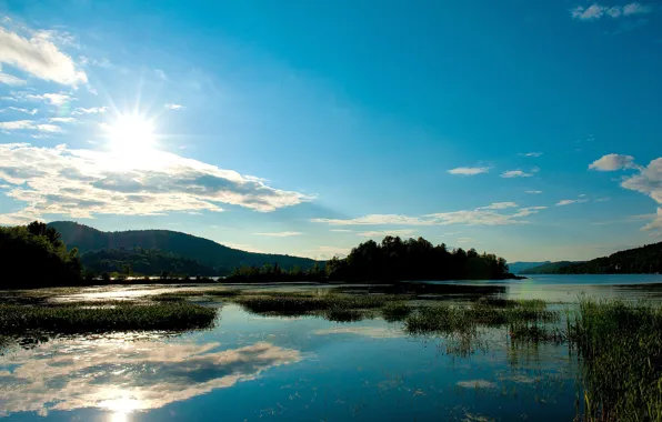 Picture summer, the sun, trees, lake, hills, reed