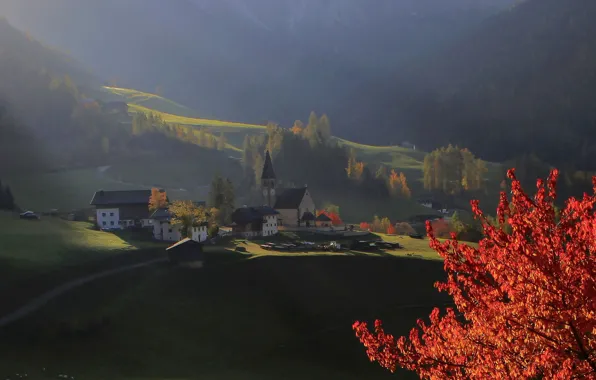 Picture autumn, landscape, mountains, nature, fog, home, village, pasture