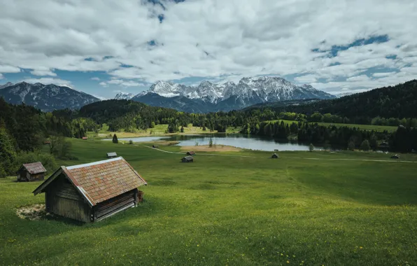 Field, forest, summer, the sky, grass, clouds, mountains, nature