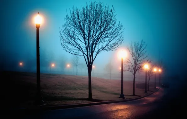 City, park, street, fog, atmosphere, Richmond, Sleep Walking