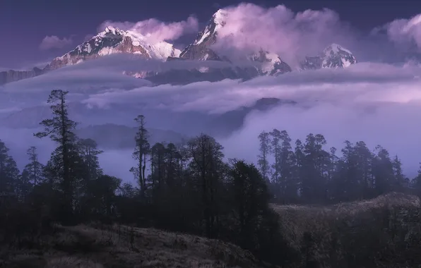 Picture landscape, sunset, nature, The Himalayas, Anna Politova