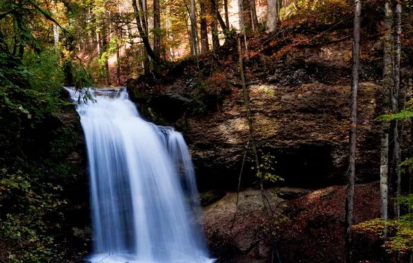 Trees, nature, open, waterfall, trees, waterfall, the nature, breakage