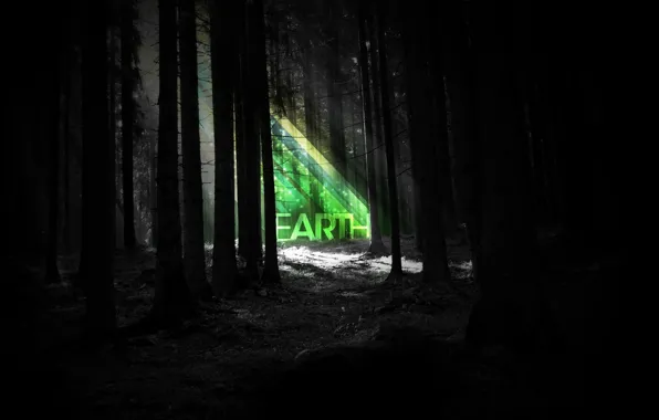 Forest, strips, night, earth, earth