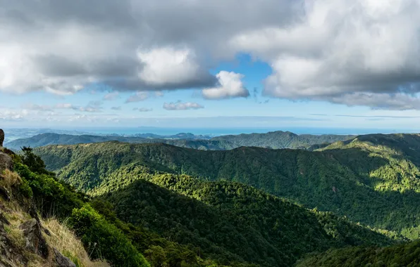 Picture forest, the sky, the sun, clouds, mountains, rocks, New Zealand, panorama