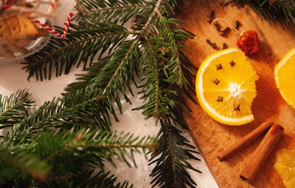 Branches, oranges, Christmas, New year, cinnamon, needles, composition, spices