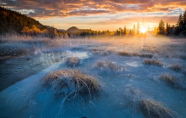 Frost, the sun, rays, light, snow, nature, lake, ice