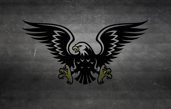 Picture strip, the dark background, bird, black and white, wings, predator, claws, hawk