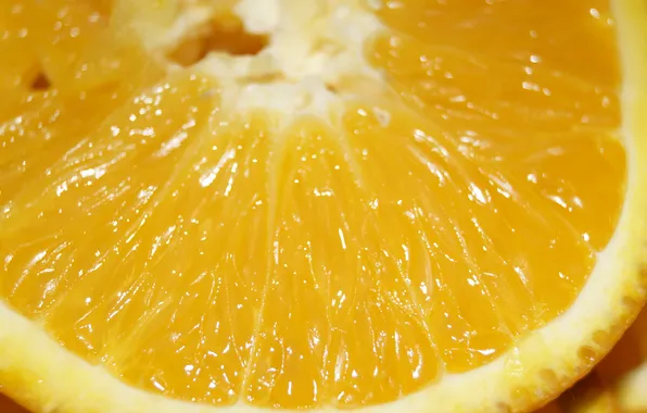 Picture orange, citrus, yellow