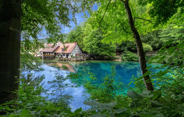 Trees, lake, home, Germany, Germany, Blaubeuren, Blaubeuren, Blue pot