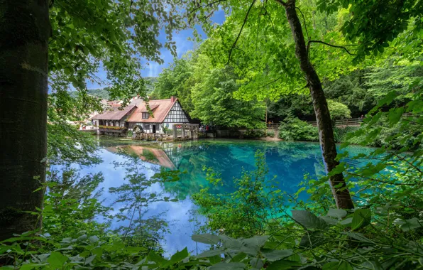 Picture trees, lake, house, Germany, Germany, Blaubeuren, Blaubeuren, Blue pot