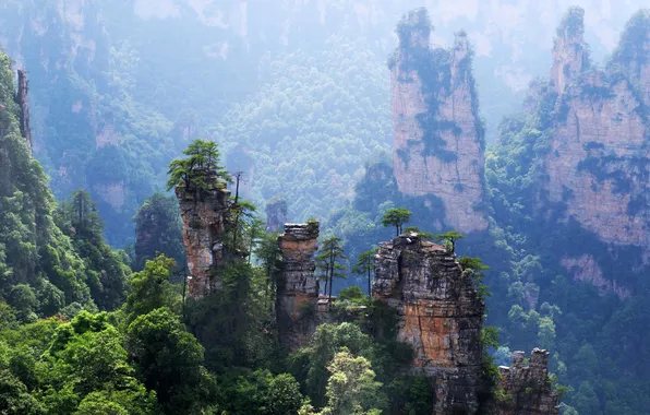 The sun, trees, mountains, rocks, China, Zhangjiajie National Park