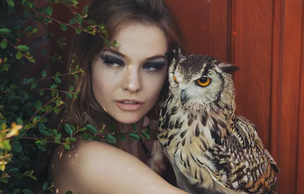 Look, girl, owl