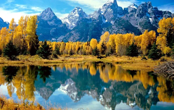 Autumn, forest, water, trees, mountains, lake, reflection, yellow