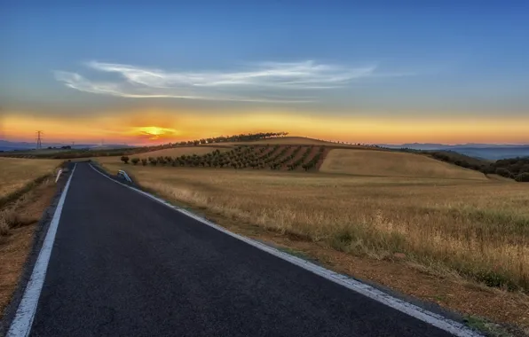 Picture nature, field, sunset, road