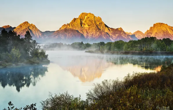 Picture forest, landscape, mountains, nature, fog, river