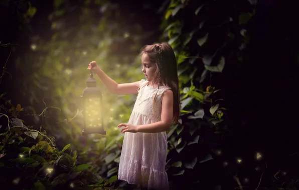 Picture forest, nature, fireflies, girl, lantern
