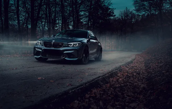 Road, forest, BMW, car