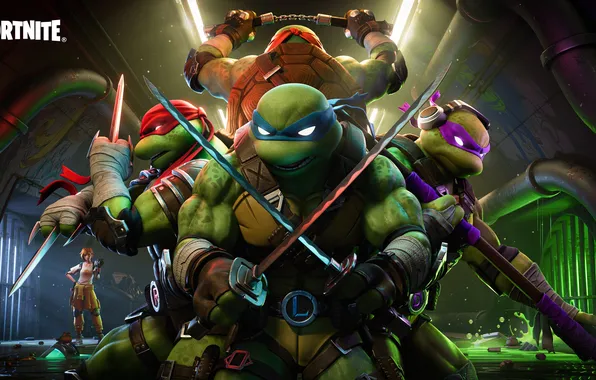 Games, TMNT, Raphael, Leonardo, Donatello, Michelangelo, April O'neil, Fortnite