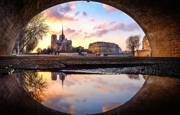 Picture Notre Dame Cathedral, Notre Dame de Paris, what kind of mother?