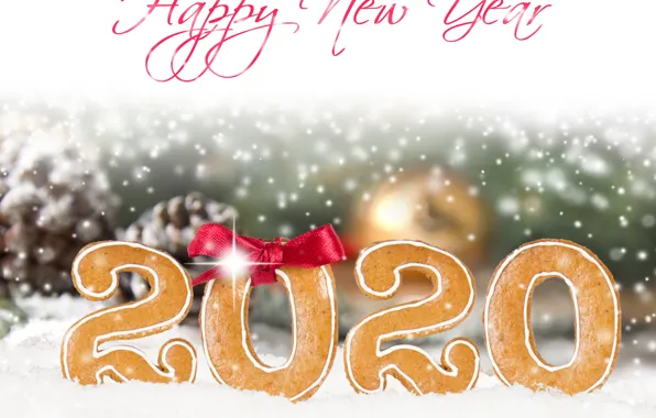 Snow, new year, bow, 2020