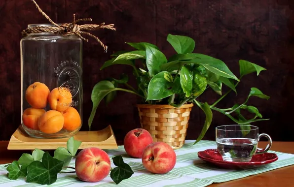 Flower, Bank, fruit, peaches, apricots