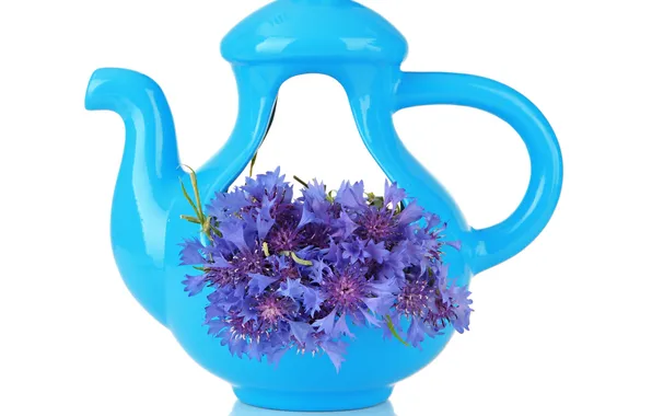 Picture kettle, white background, wildflowers, cornflowers
