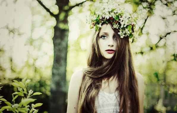 Forest, girl, flowers, brown hair, wreath, long-haired